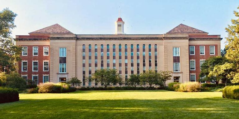 Government vs University Scholarships: Pros & Cons